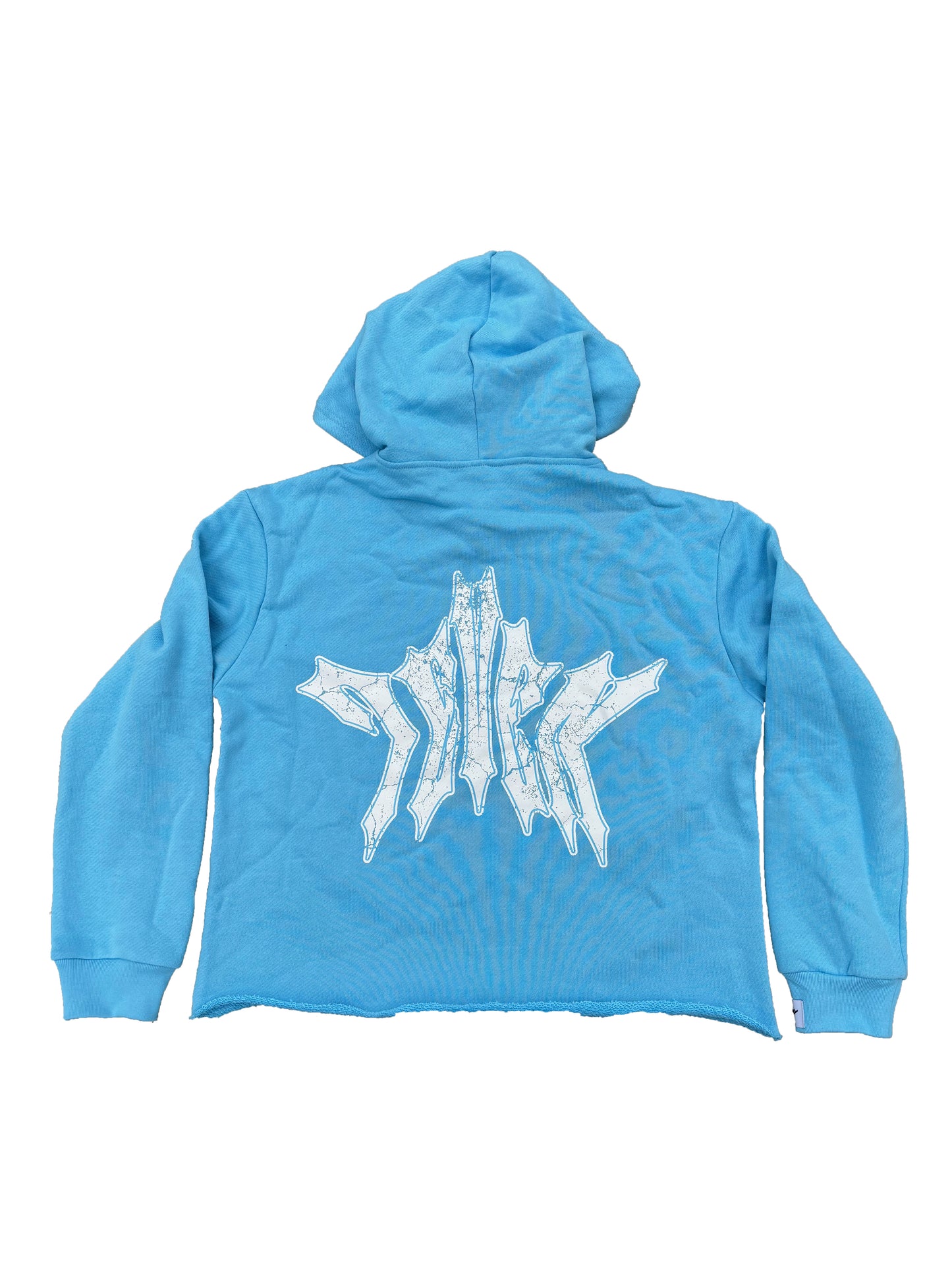 "Light Blue" Envision Hoodie